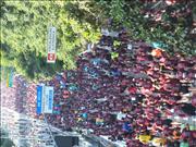 Pinguim20250125_114