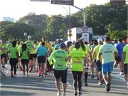 Pinguim20230125_056