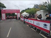 Pinguim20260125_C_018