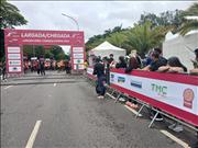 Pinguim20260125_C_020