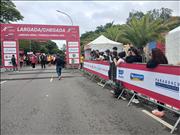 Pinguim20260125_C_022