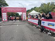 Pinguim20260125_C_023