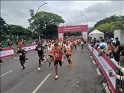 Pinguim20260125_C_026