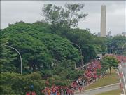 Pinguim20260125_C_029