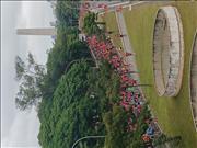 Pinguim20260125_C_030