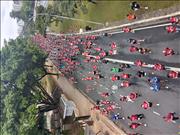 Pinguim20260125_C_031