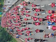 Pinguim20260125_C_038