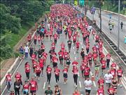 Pinguim20260125_C_039