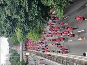 Pinguim20260125_C_040