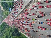 Pinguim20260125_C_046