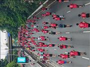 Pinguim20260125_C_047