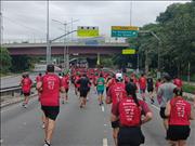 Pinguim20260125_C_050