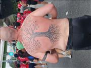 Pinguim20260125_C_051