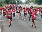 Pinguim20260125_C_052