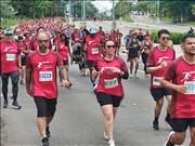 Pinguim20260125_C_053