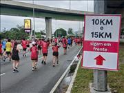 Pinguim20260125_C_055