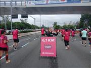 Pinguim20260125_C_057