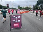 Pinguim20260125_C_060