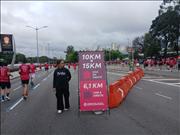 Pinguim20260125_C_061