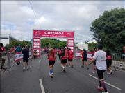 Pinguim20260125_C_064