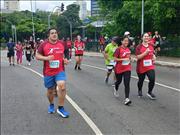 Pinguim20260125_C_070