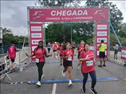 Pinguim20260125_C_075