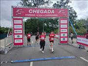 Pinguim20260125_C_076