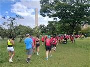 Pinguim20260125_C_082