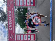 Pinguim20260125_C_083