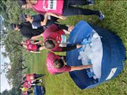 Pinguim20260125_C_084