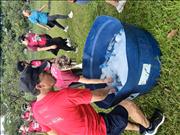 Pinguim20260125_C_085