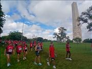 Pinguim20260125_C_089