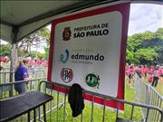 Pinguim20260125_C_110