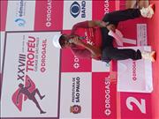 Pinguim20260125_C_140